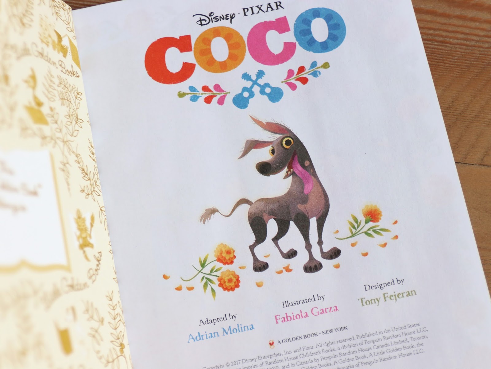 Dan the Pixar Fan Coco Little Golden Book