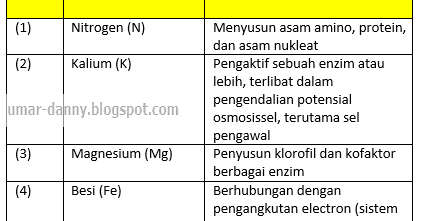 Contoh Soal Uts Pts Biologi Kelas Xii Semester 1 Kurikulum 2013 Beserta Jawaban