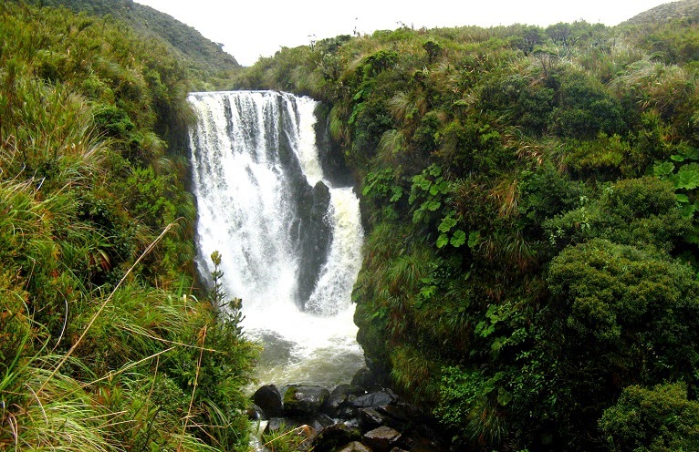 Turismo de naturaleza Parque nacional natural Puracé: El Parque ...