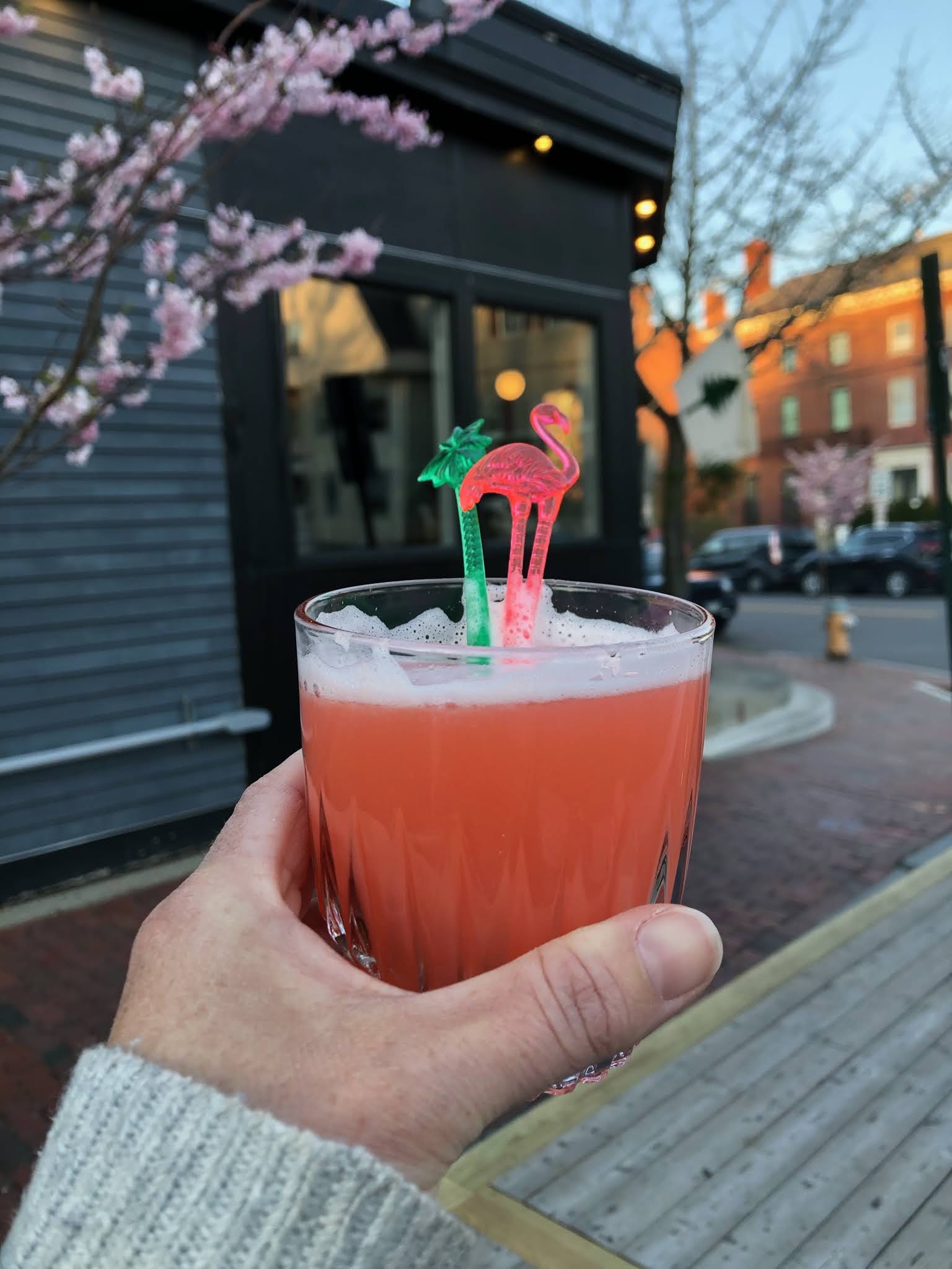 The Blueberry Files Crown Jewel Preview Popup