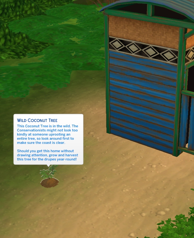 Sims 4 Make It Happen Where's that Coconut Tree? Island Living