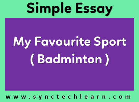 essay on my favourite sport badminton
