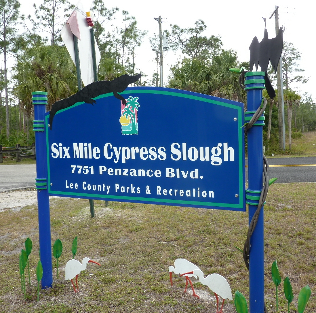 Skip's Florida Six Mile Cypress Slough Preserve
