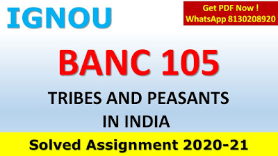 BANC 105 Solved Assignment 2020-21