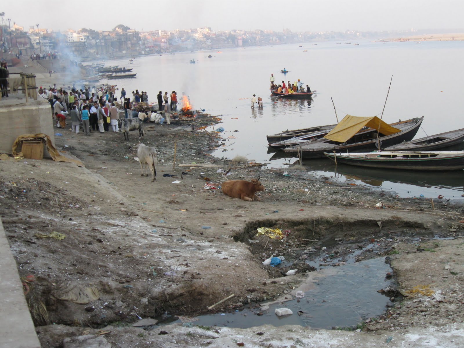 ganga-mahasabha-truth-of-ganga-action-plan