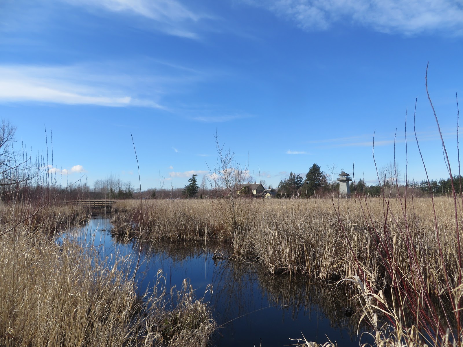 Exploring County & Beyond Tennant Lake Boardwalk Trail