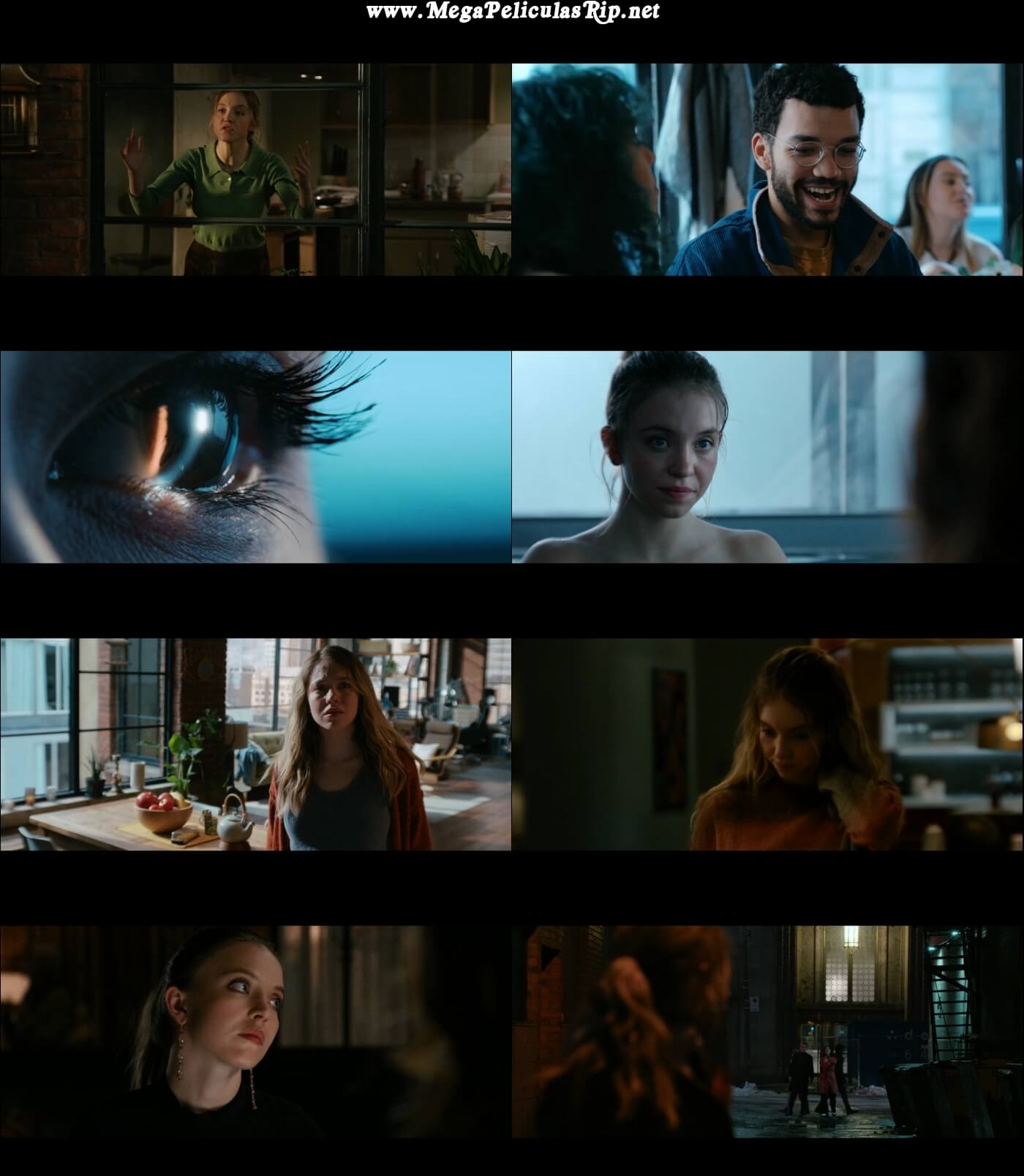 Los Voyeristas 1080p Latino