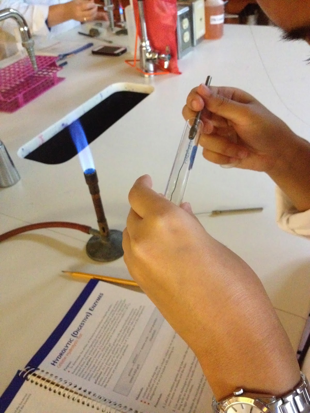 Rose & Lindsey's Medical Microbiology Blog Gelatin Hydrolysis Test