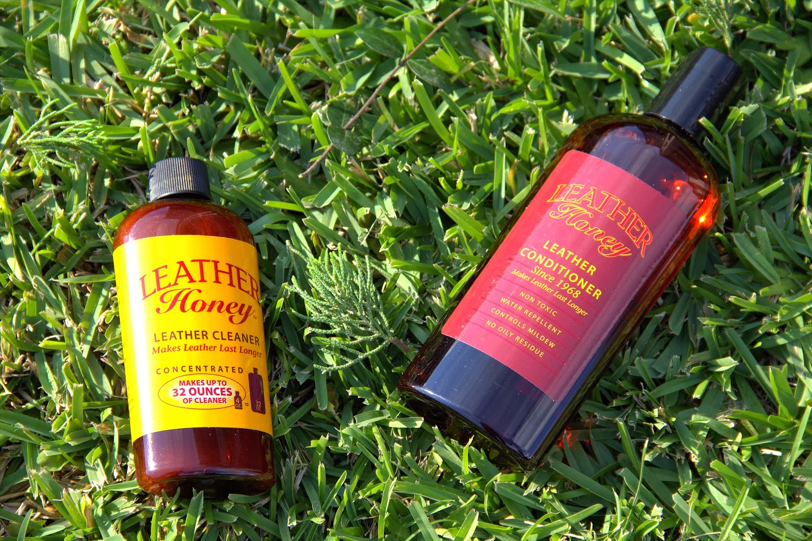 LEATHER HONEY REVIEW Tamara Altair