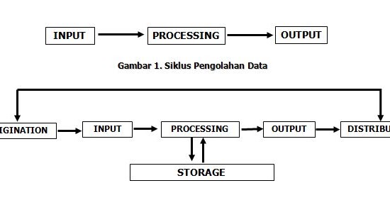 Inputs processes. Inputs processes