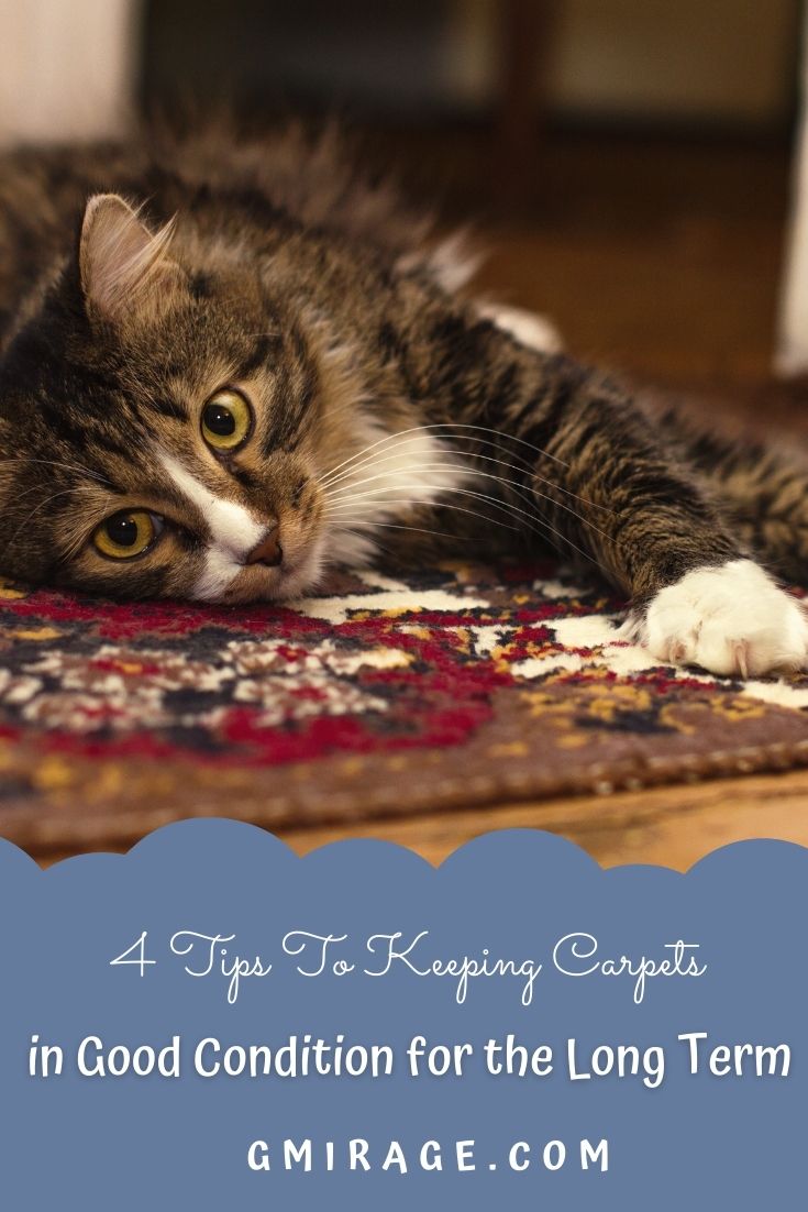 Keeping Carpets in Good Condition for the Long Term