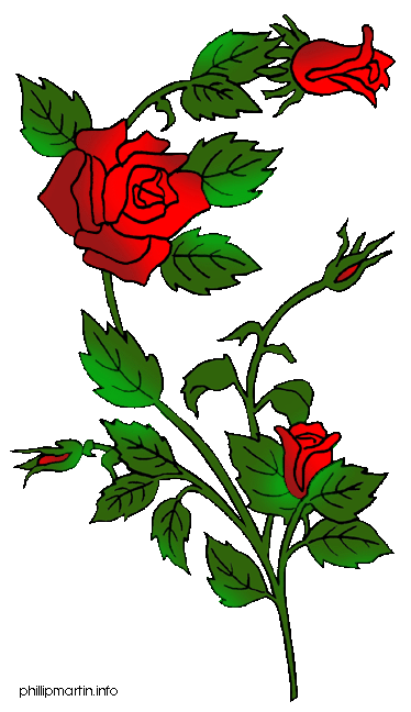 clipart rose bush - photo #28