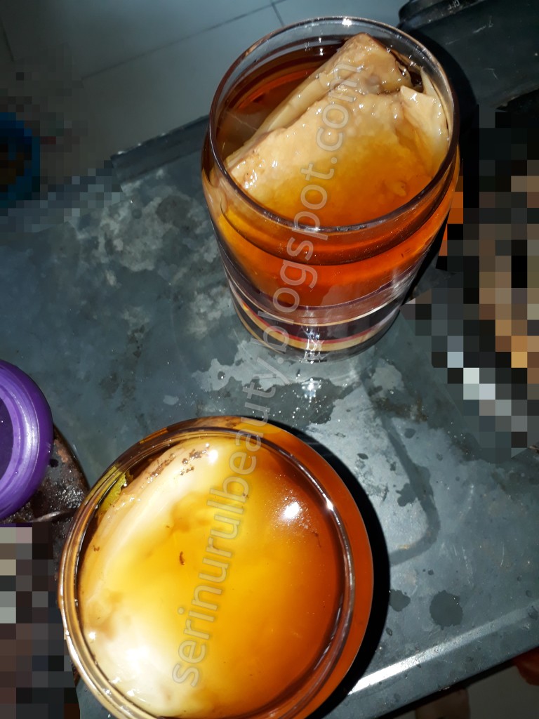 Healthy Nurul Beauty Get 2 container kombucha tea starter using minty
