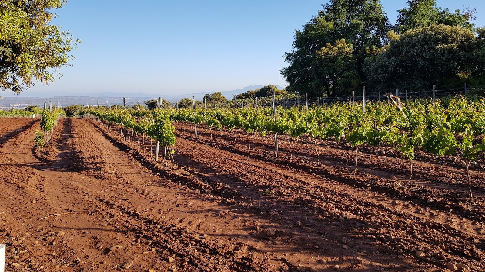 Wortwerk Erlangen Nurnberg Textwerkstatt Autorengruppe