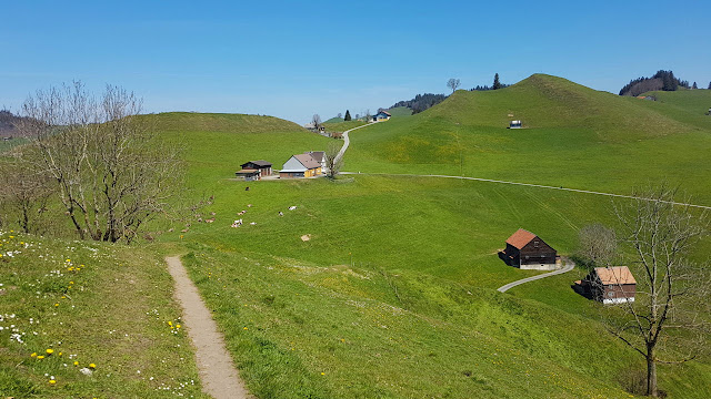 Bilder und Texte zu meinen Wanderungen mit Hund Ruine Clanx bei Appenzell