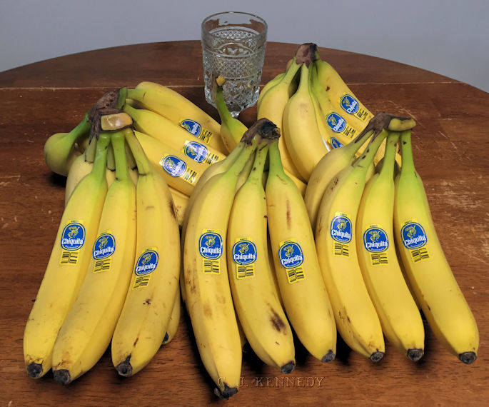 CJ & Ink T Stands for Yes, We Have No Bananas