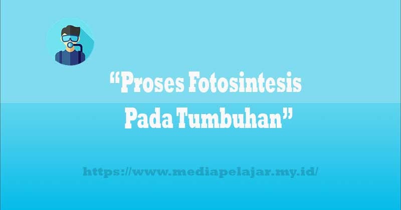 Proses Fotosintesis Pada Tumbuhan Media Pelajar Proses Fotosintesis Pada Tumbuhan Media Pelajar