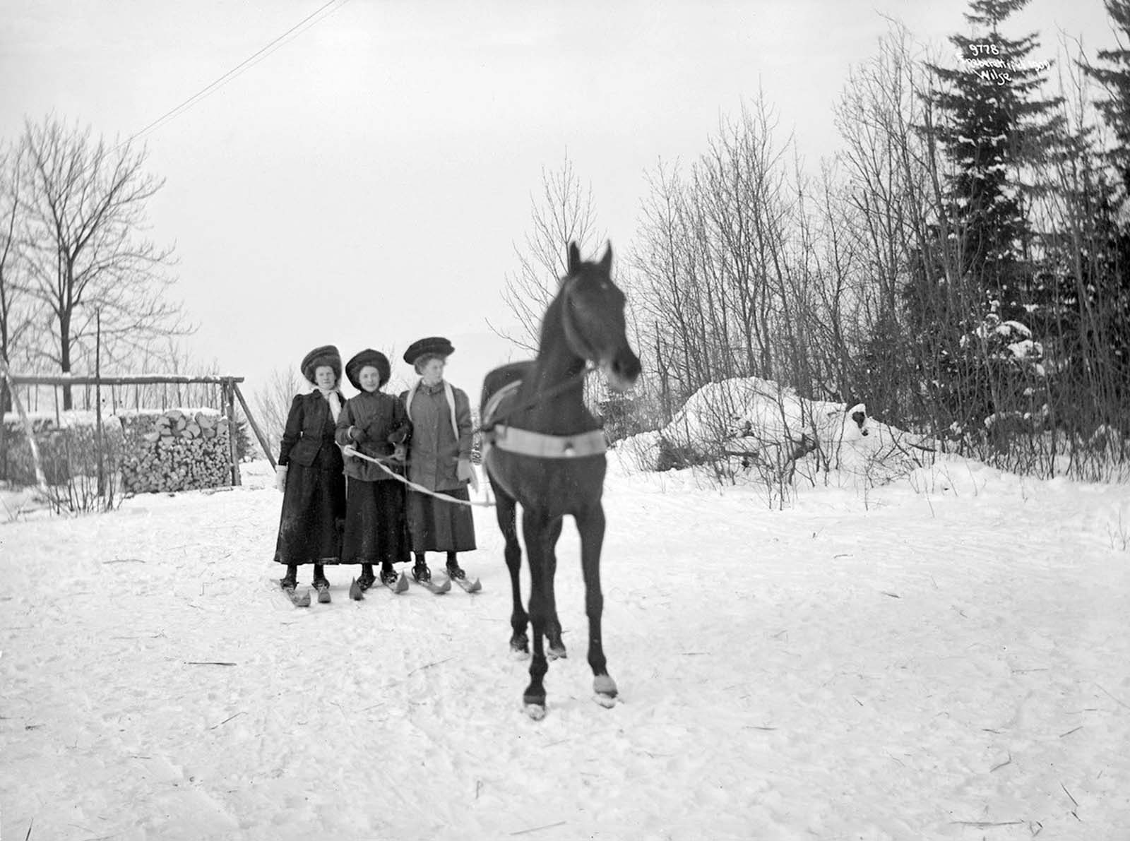 Három nő készen áll a skijoring megkezdésére.