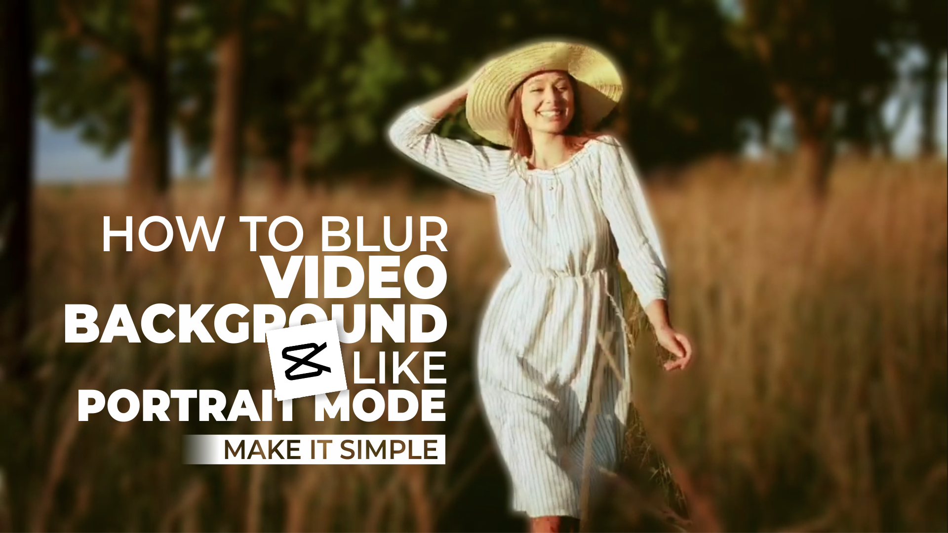 how to blur video background