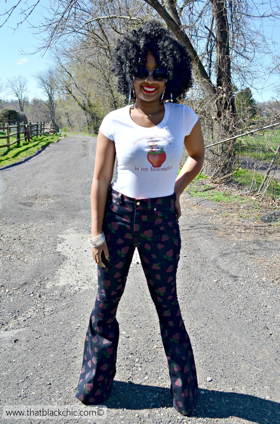 Strawberries & My Gingers! [Sew What? Series Ginger Flare Jeans by ...