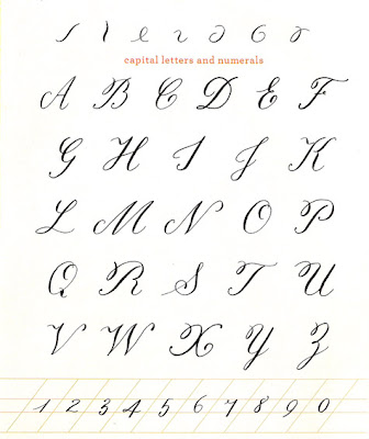 Calligraphy: Calligraphy Fonts