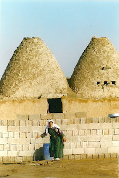 Ancient Domed Houses