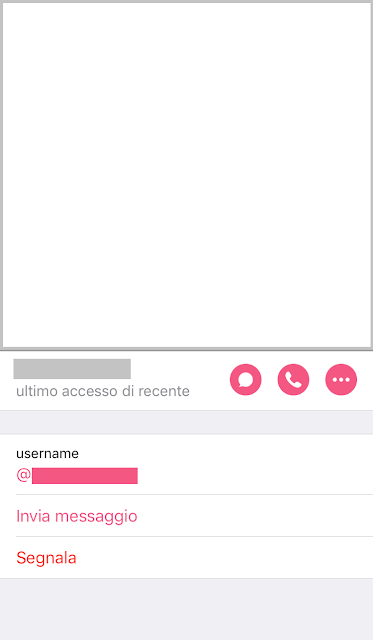 Telegram Messenger per iOS Profilo