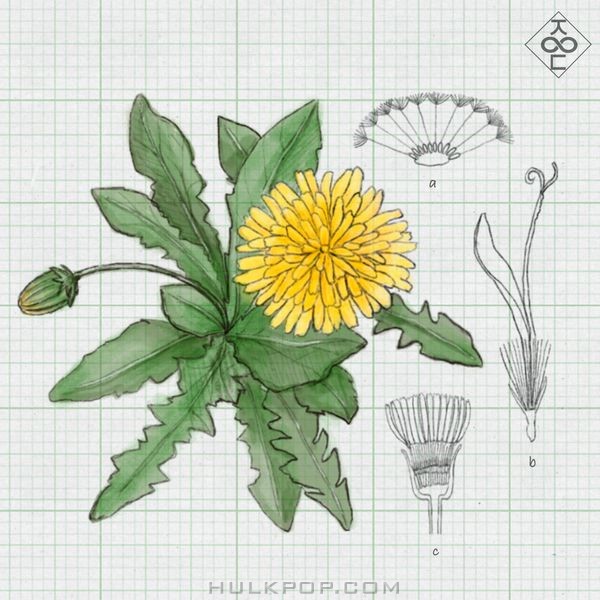 Seo Jieum – Greenroom of Space – Single