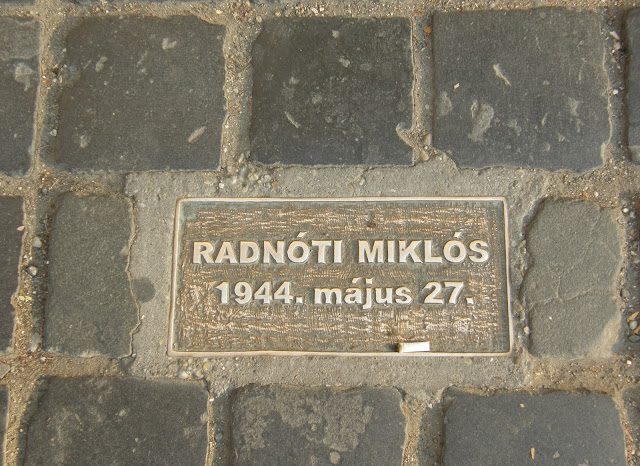 Hungary, Magyarország, Vác, emléktábla, Radnóti Miklós