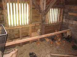 horse stalls weather perfect last converted into