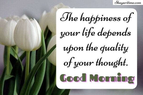 Good Morning