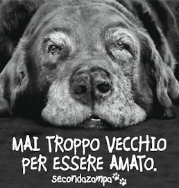 mai troppo vecchio per essere amato