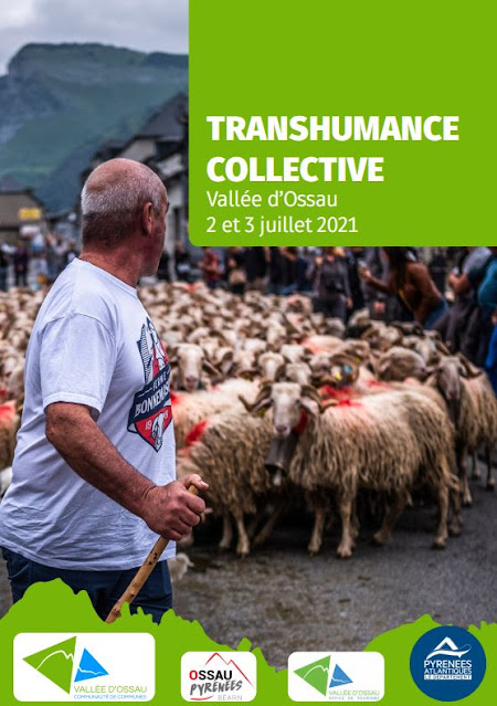 La Vallée d'Ossau fête la transhumance