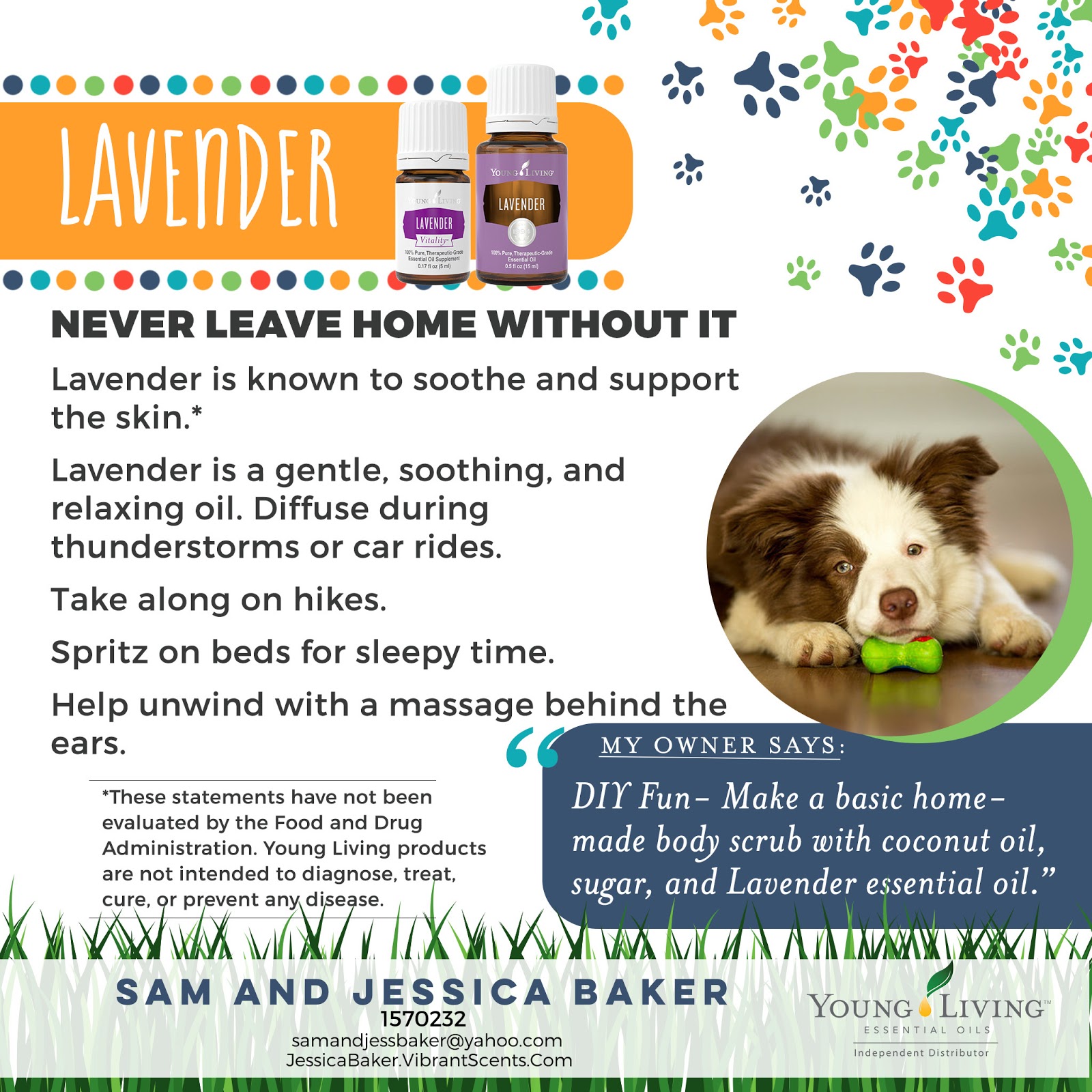 Are All Essential Oils Safe To Diffuse Around Dogs