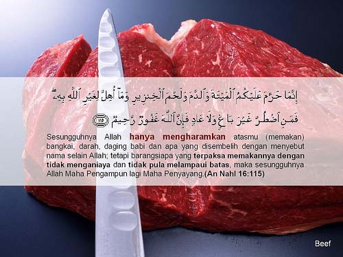 Rupanya Ada Sebab Tersendiri Kenapa Anjing dan Babi Diharamkan | Islam