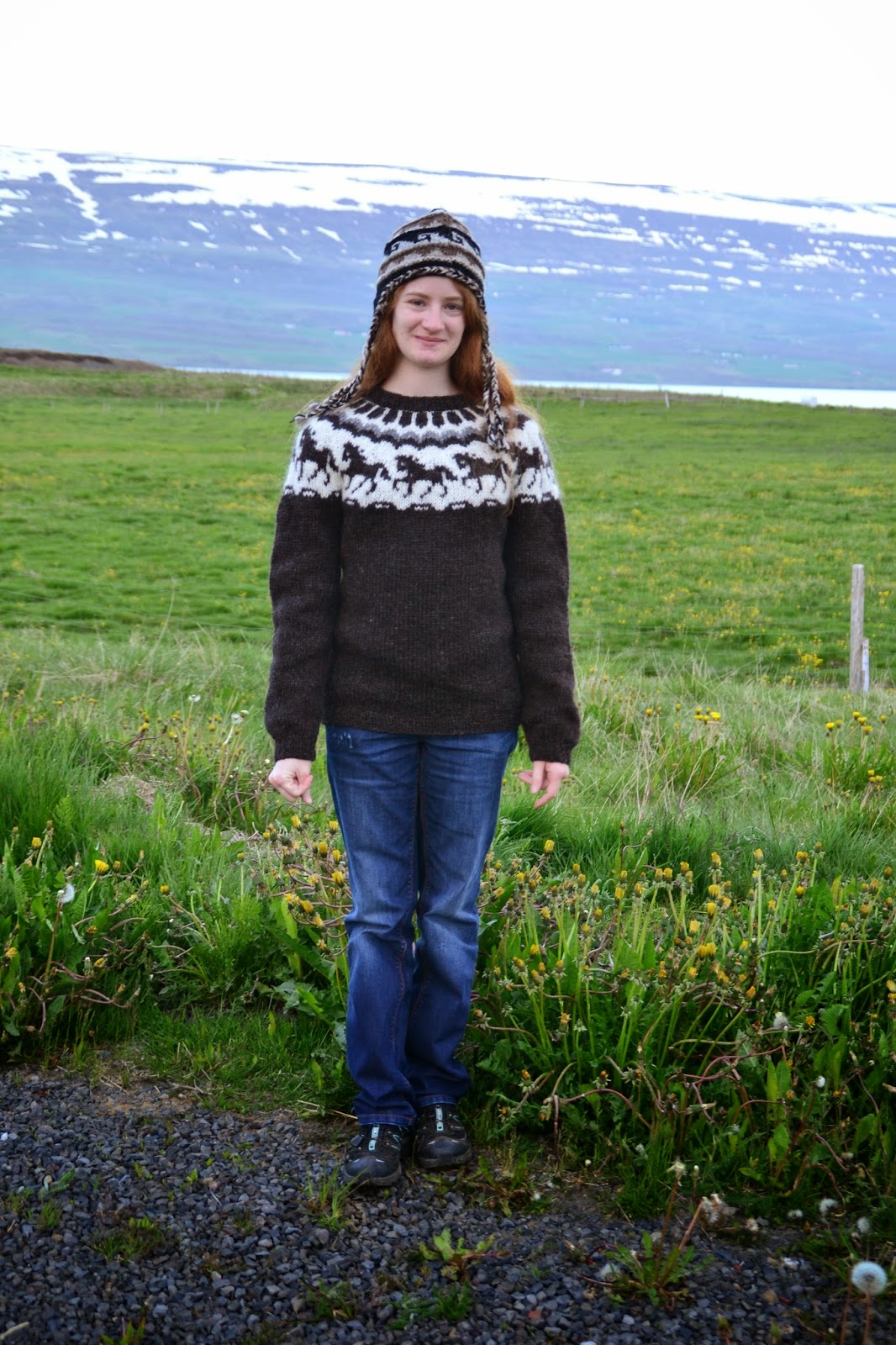 Islandaufenthalt Mein Islandpulli