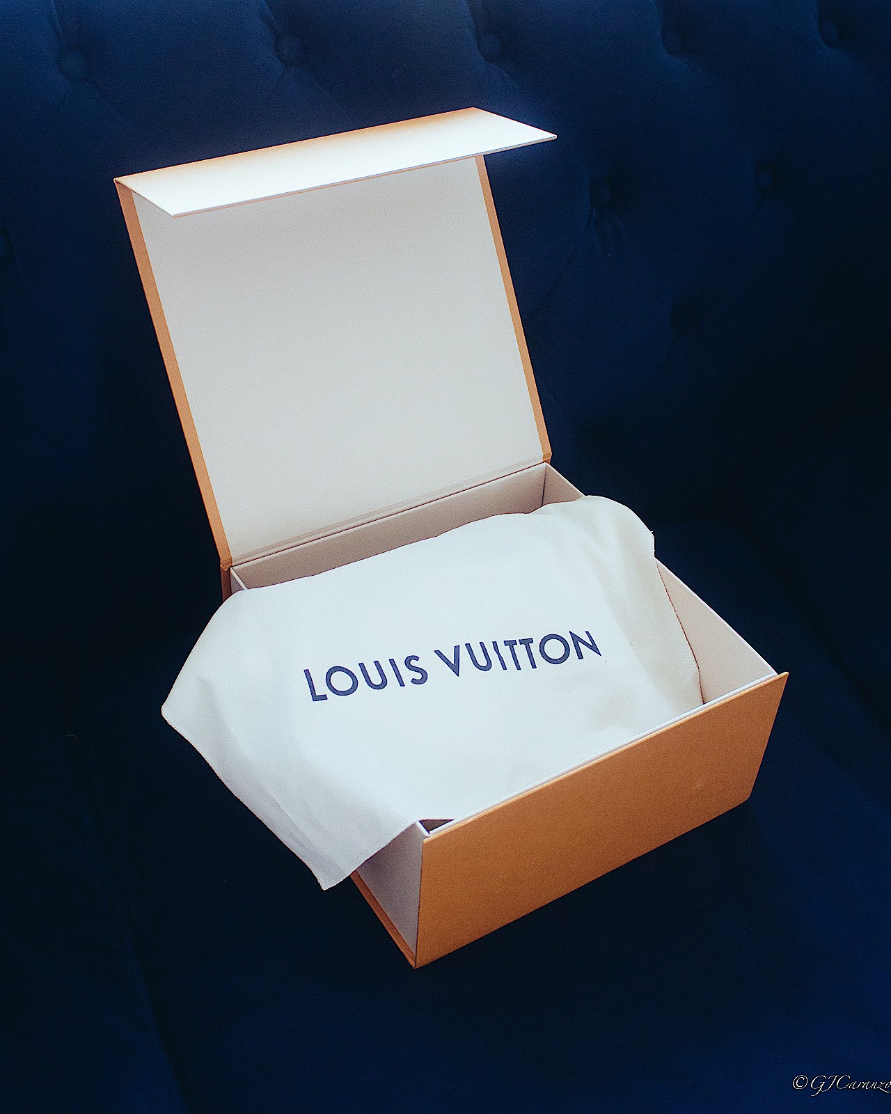 My first luxury bag the Louis Vuitton Alma BB My first luxury bag the Louis Vuitton Alma BB