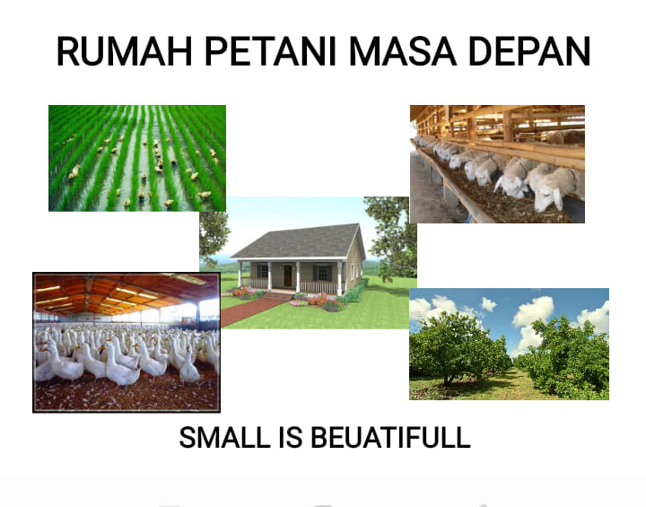 RUMAH PETANI MASA DEPAN
