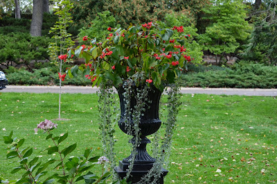 Munsinger Gardens 10/19/2013 Photo by Trisha Field
