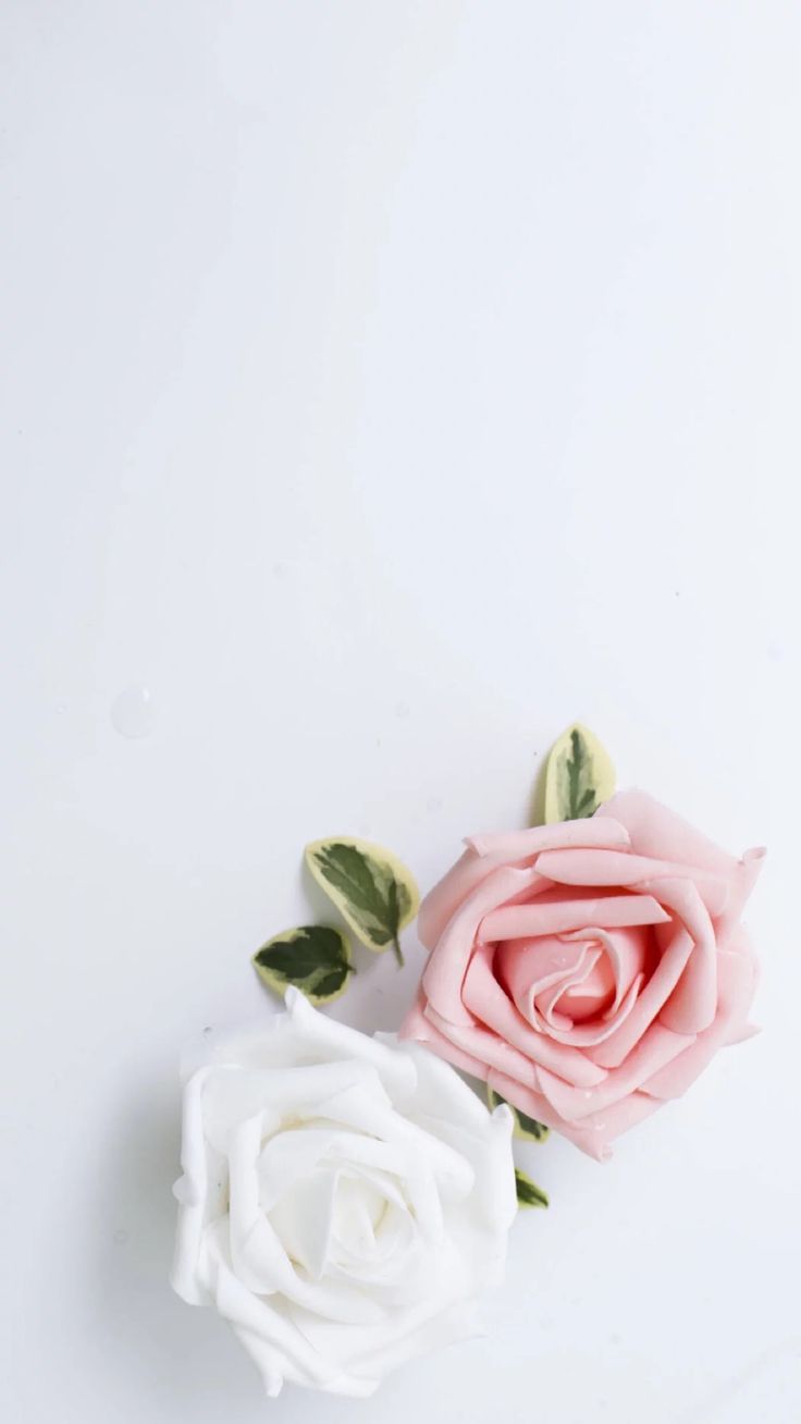 Best HD Mobile Wallpaper Cute ~ Wallpaper Loader