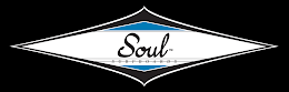 SOUL SURFBOARDS