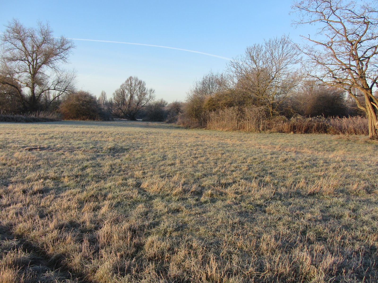 Ham Photos Light frost on Ham Lands