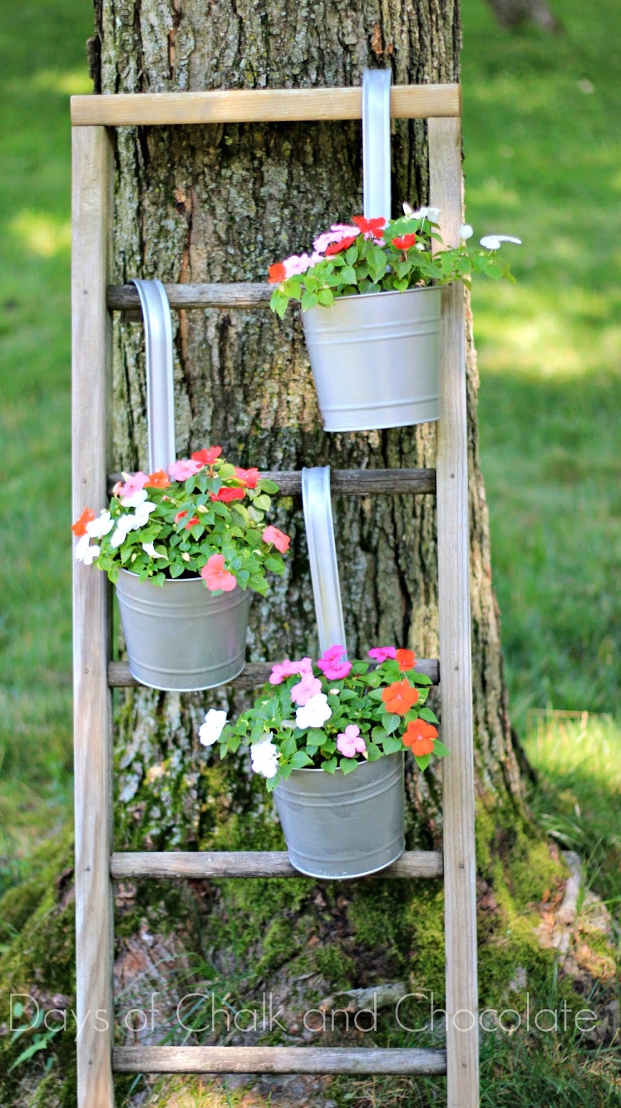 DIY Galvanized Planters and Ladder Plant Stand Days of Chalk and