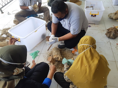Hujan Tinggi, Warga di Desa Wangunrejo Temukan Fosil Gajah Purba 1 20201014 104532