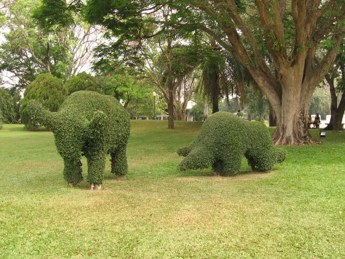 Scultura vegetale | L'arte Topiaria