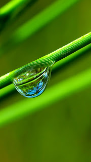 Wallpaper of iPhone 5 | iPhone Quick Tips