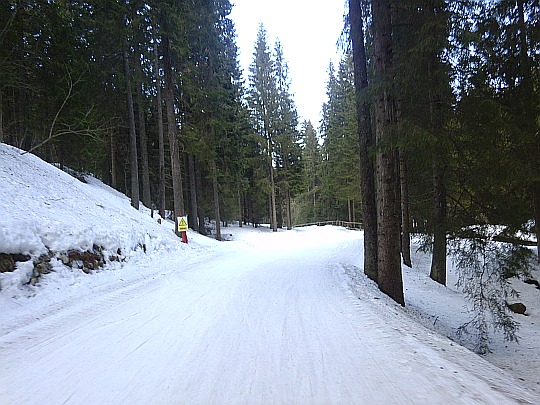 Nartostrada „Goryczkowa”