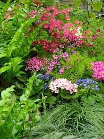 Allan Gardens Conservatory Spring Flower Show 2014 garden muses-not another Toronto gardening blog