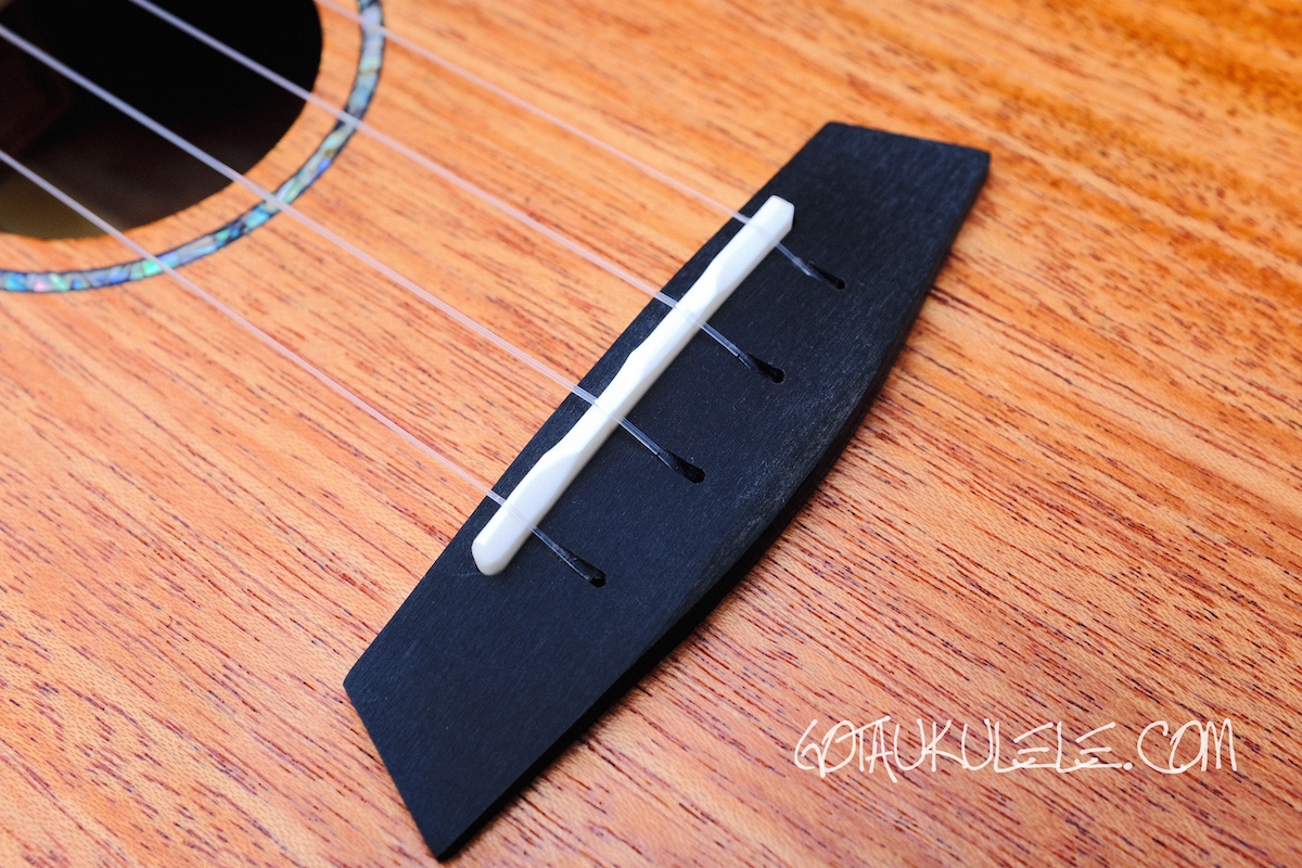 Enya EUCMS Concert Ukulele REVIEW