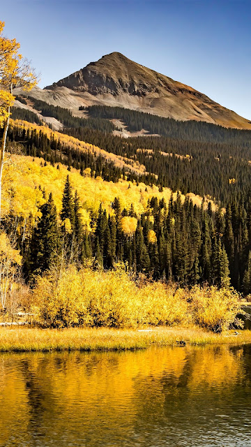 Landscape, mountains, lake, trees, forest, grass